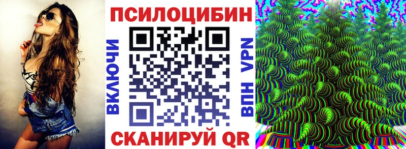 Галлюциногенные грибы Psilocybe  купить наркотики сайты  Безенчук 
